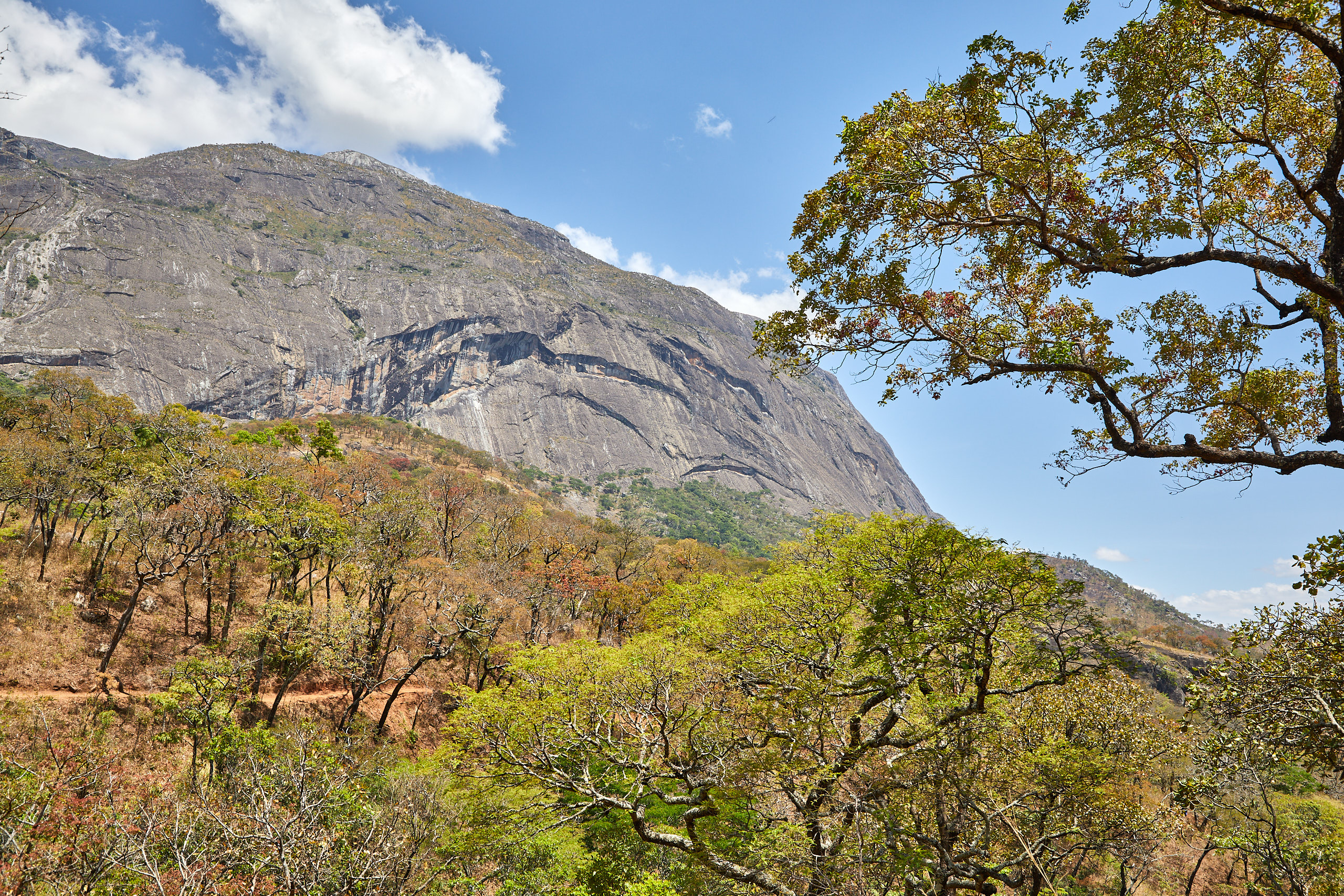 00380 APJ Sambia Malawi 2018 02963