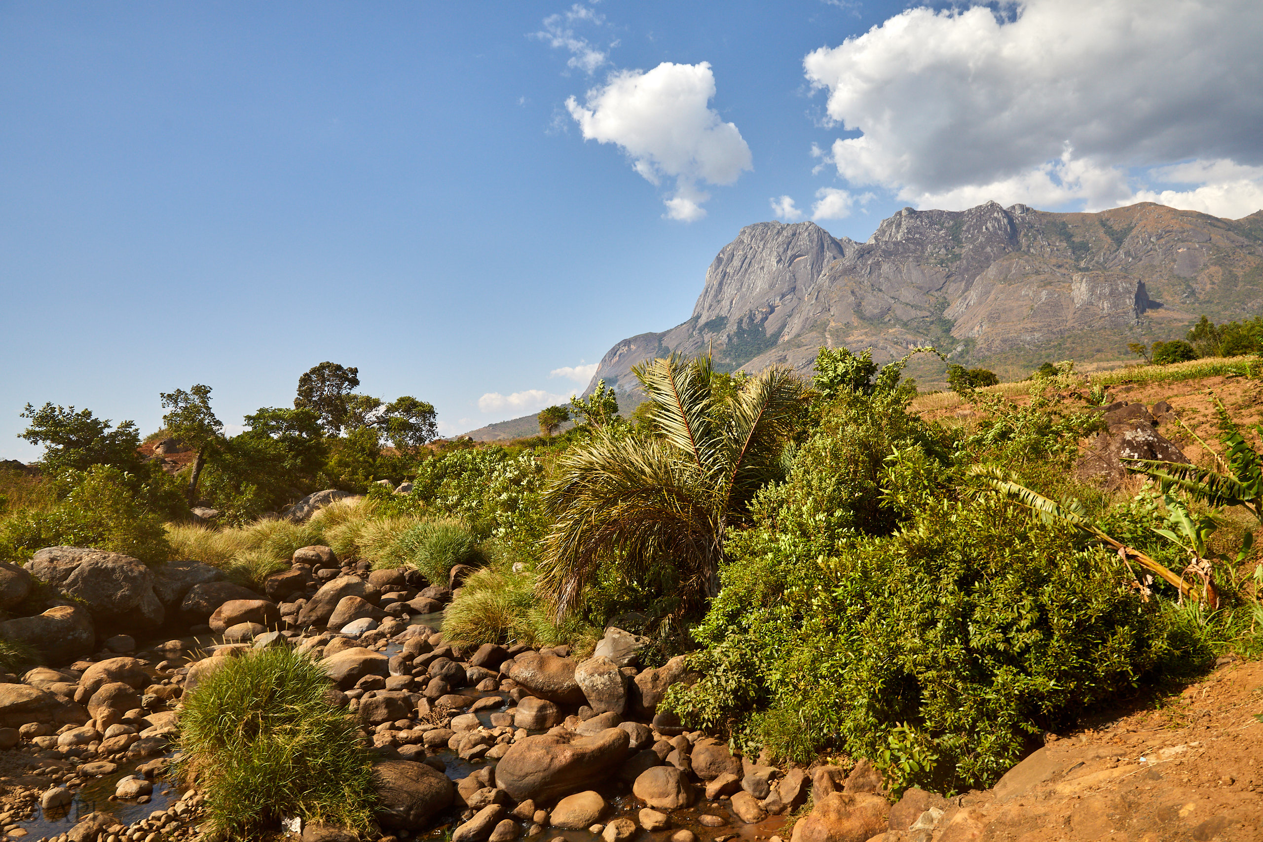 00395 APJ Sambia Malawi 2018 03041