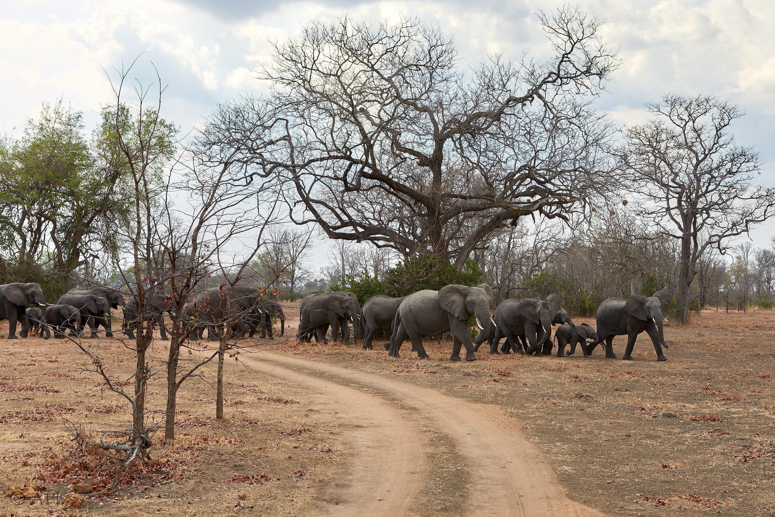 00407 APJ Sambia Malawi 2018 03098 D