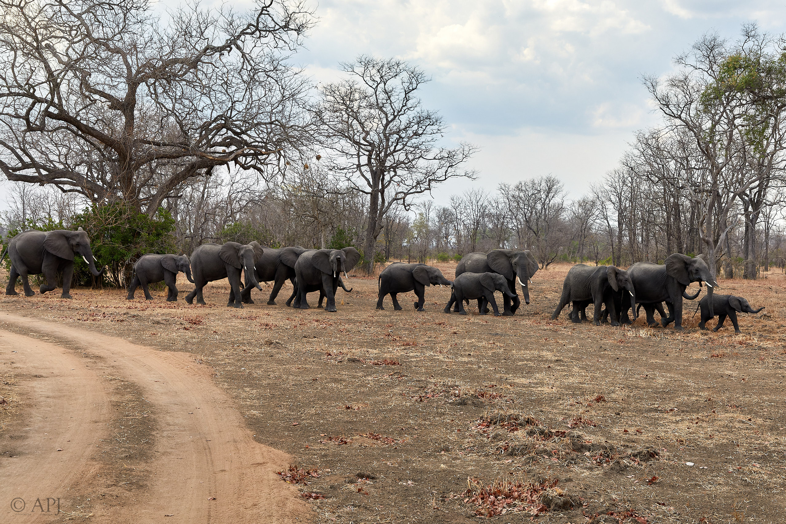 00409 APJ Sambia Malawi 2018 03110