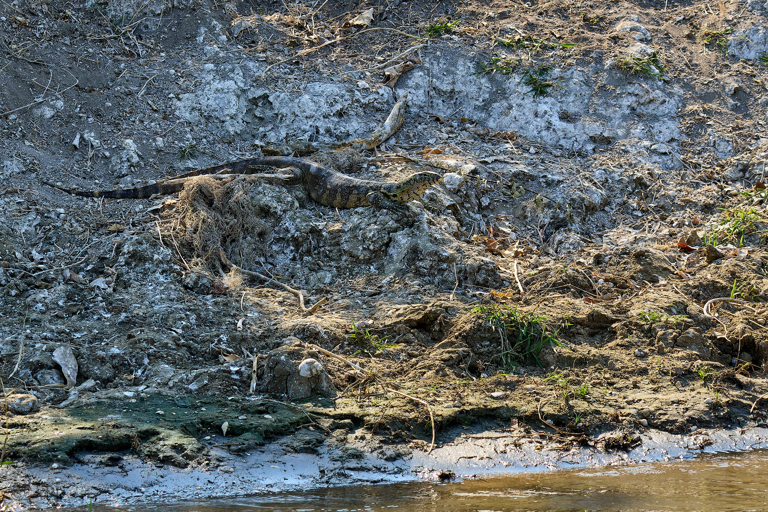 00427 APJ Sambia Malawi 2018 03208 D