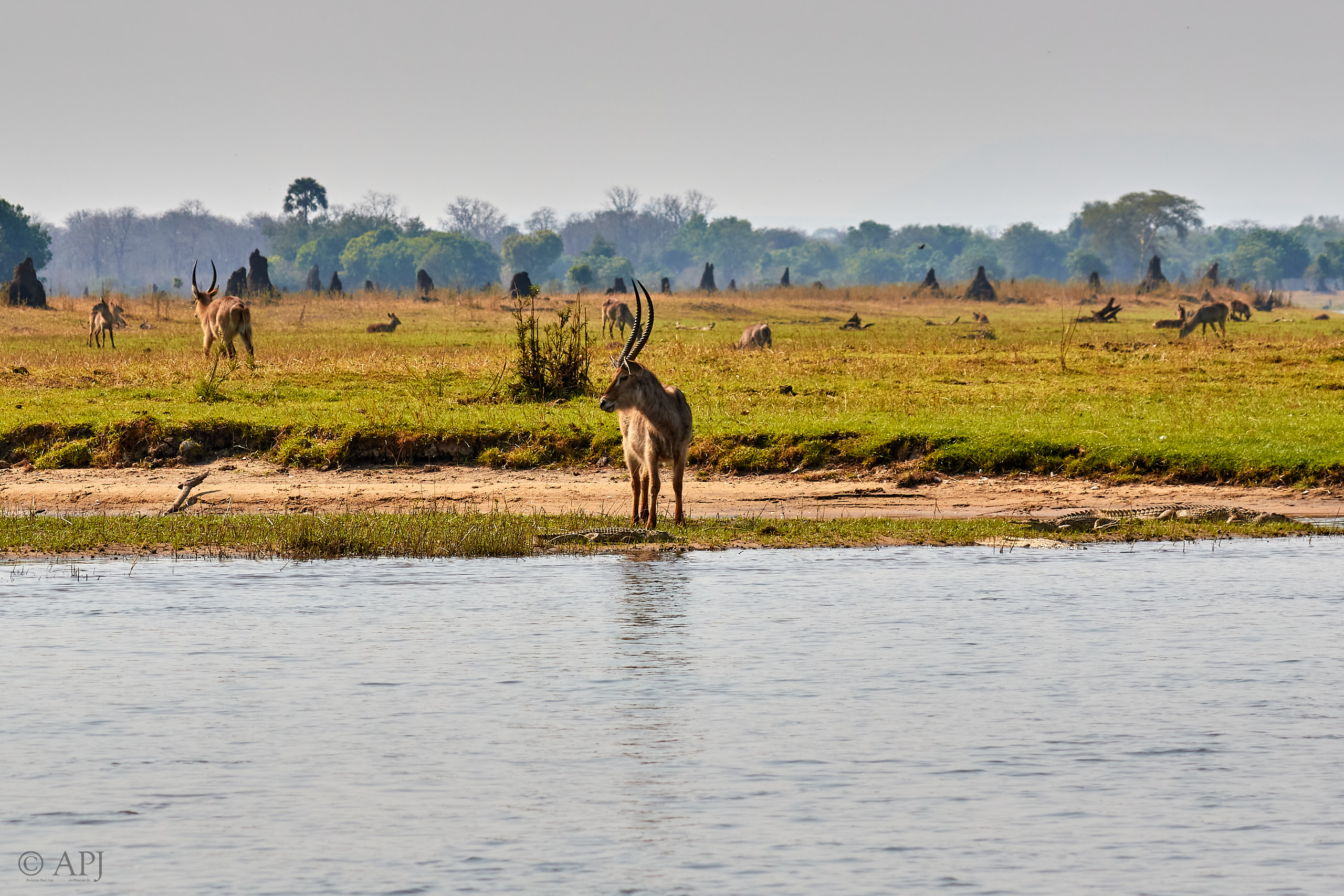00435 APJ Sambia Malawi 2018 03310