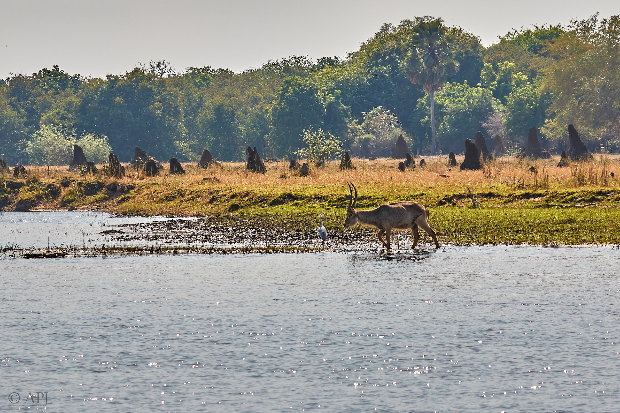 00437 APJ Sambia Malawi 2018 03320