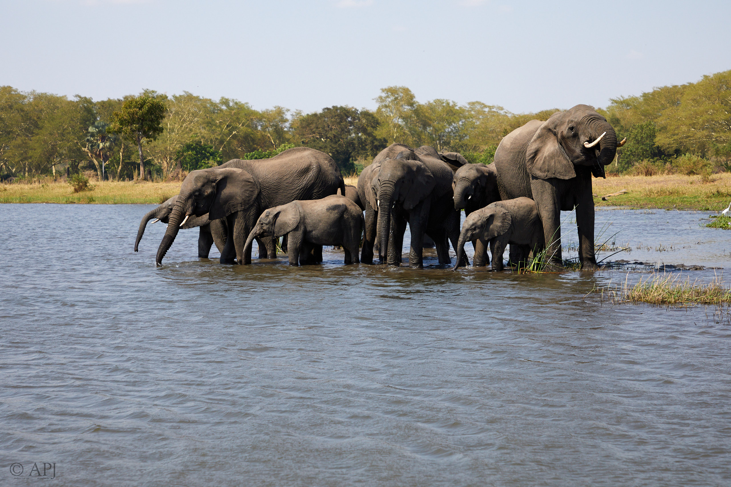 00451 APJ Sambia Malawi 2018 03520