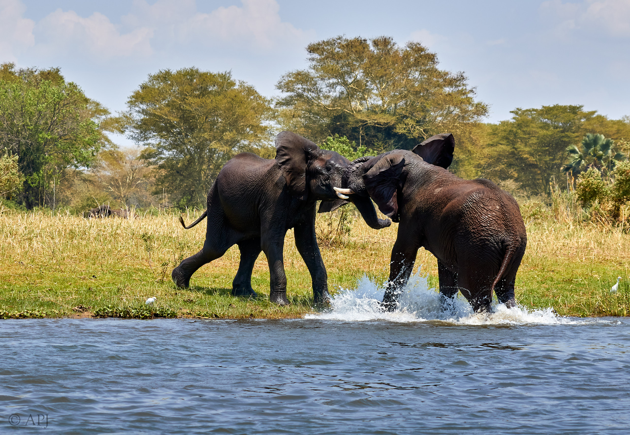 00467 APJ Sambia Malawi 2018 03784