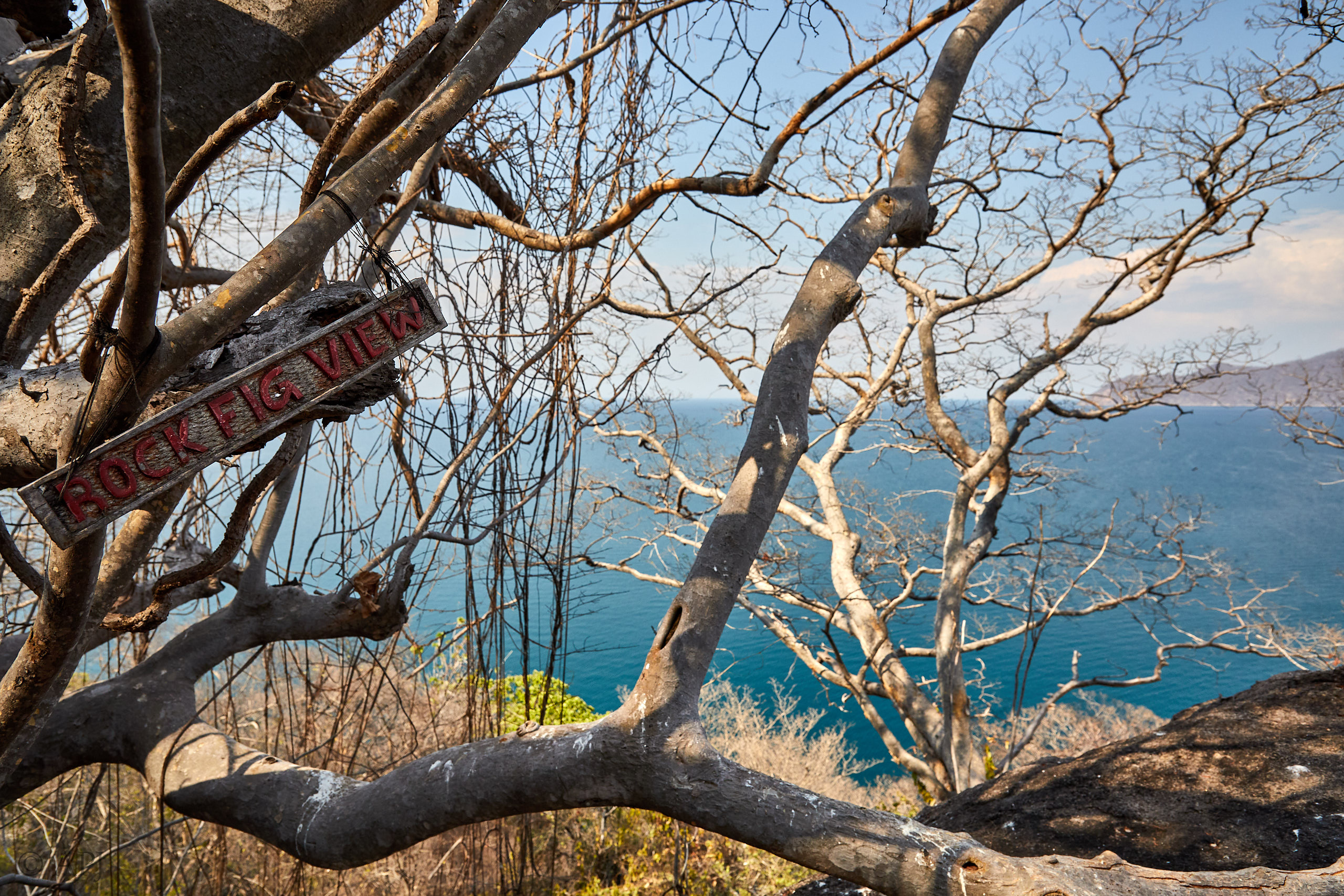 00520 APJ Sambia Malawi 2018 04229