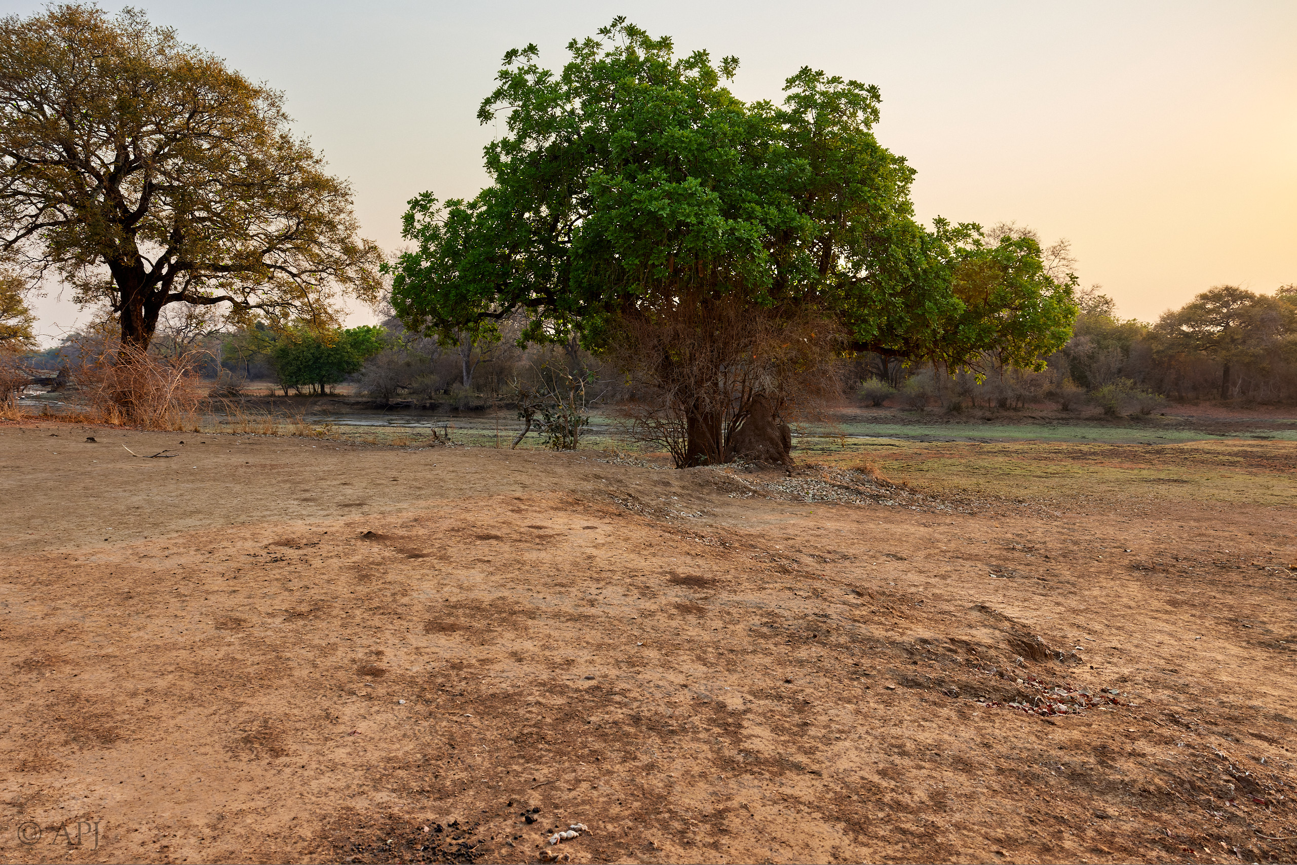 00065 APJ  A7A7042 CR3D