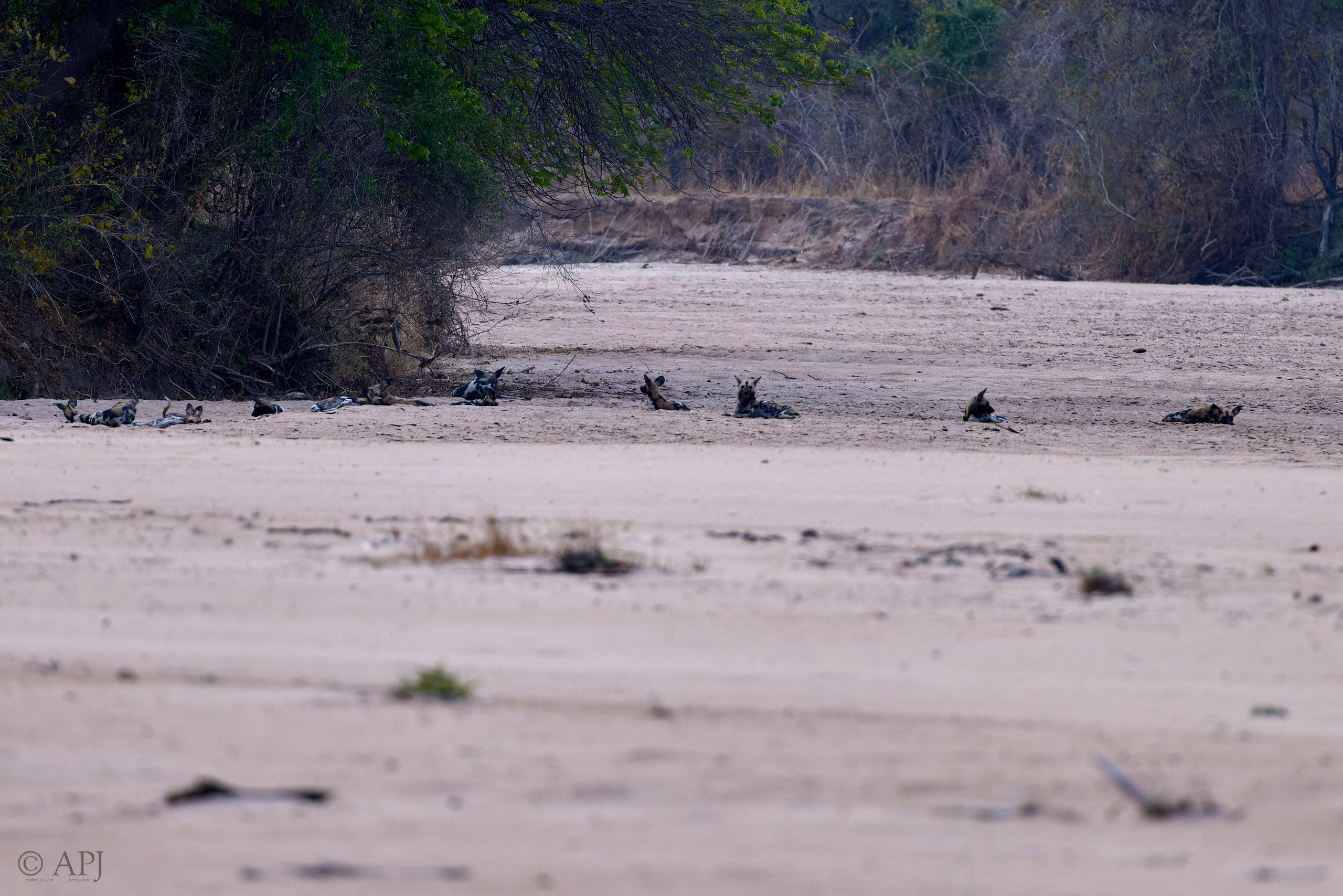 00149 APJ  A7A7400 CR3D