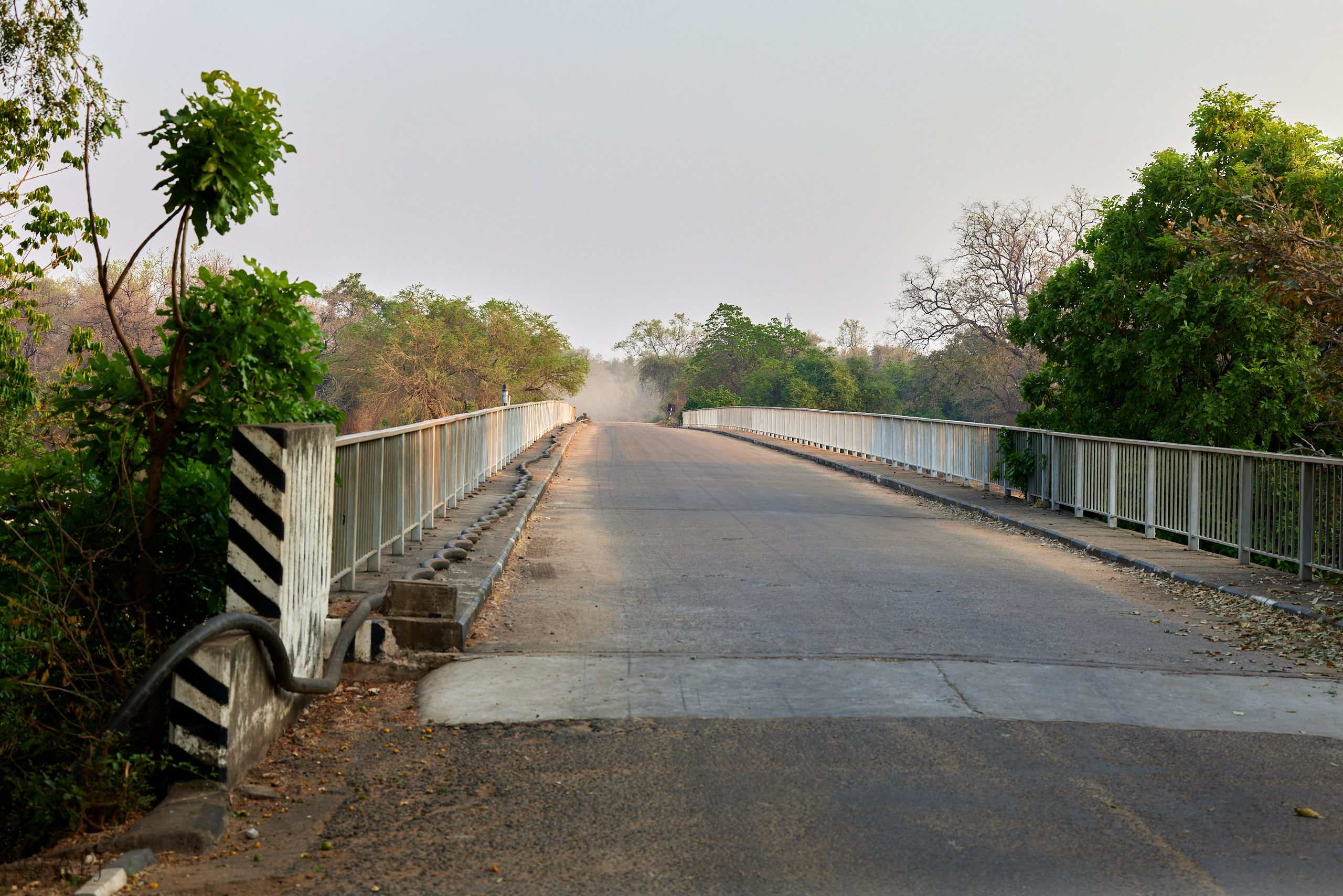 00155 APJ  A7A7429 CR3D