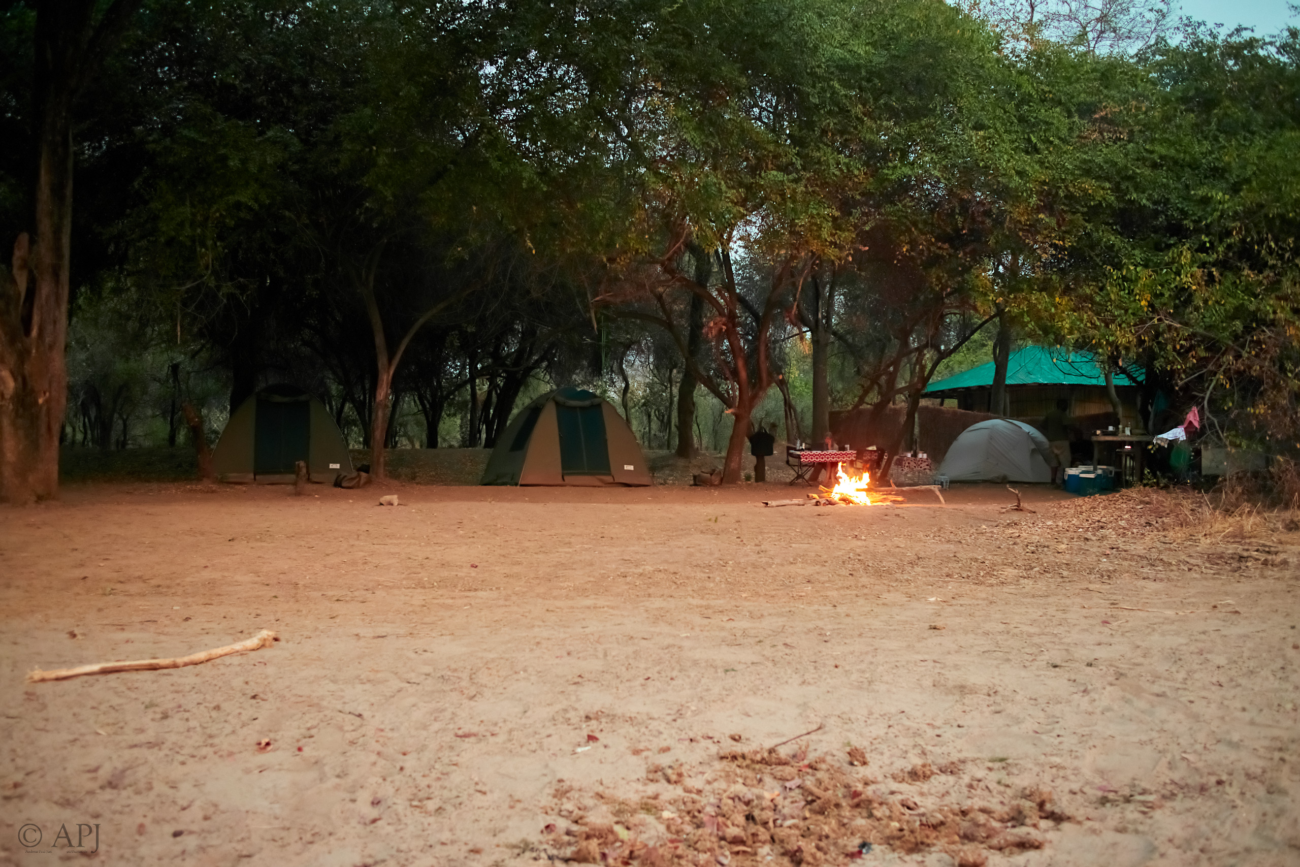 00317 APJ IMG 1169 DxO