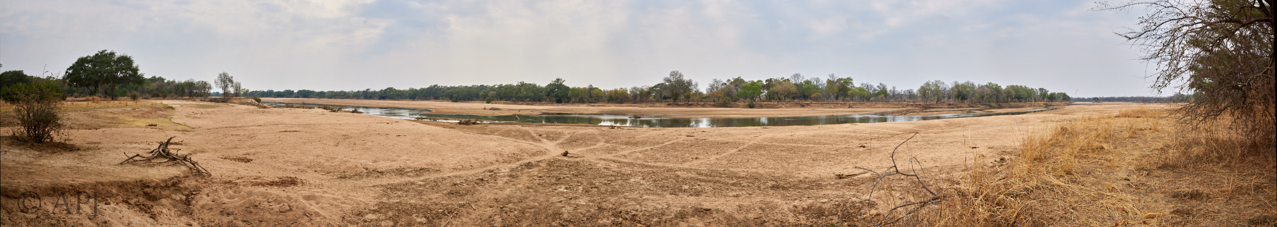 00334 APJ  59A9312 Panorama