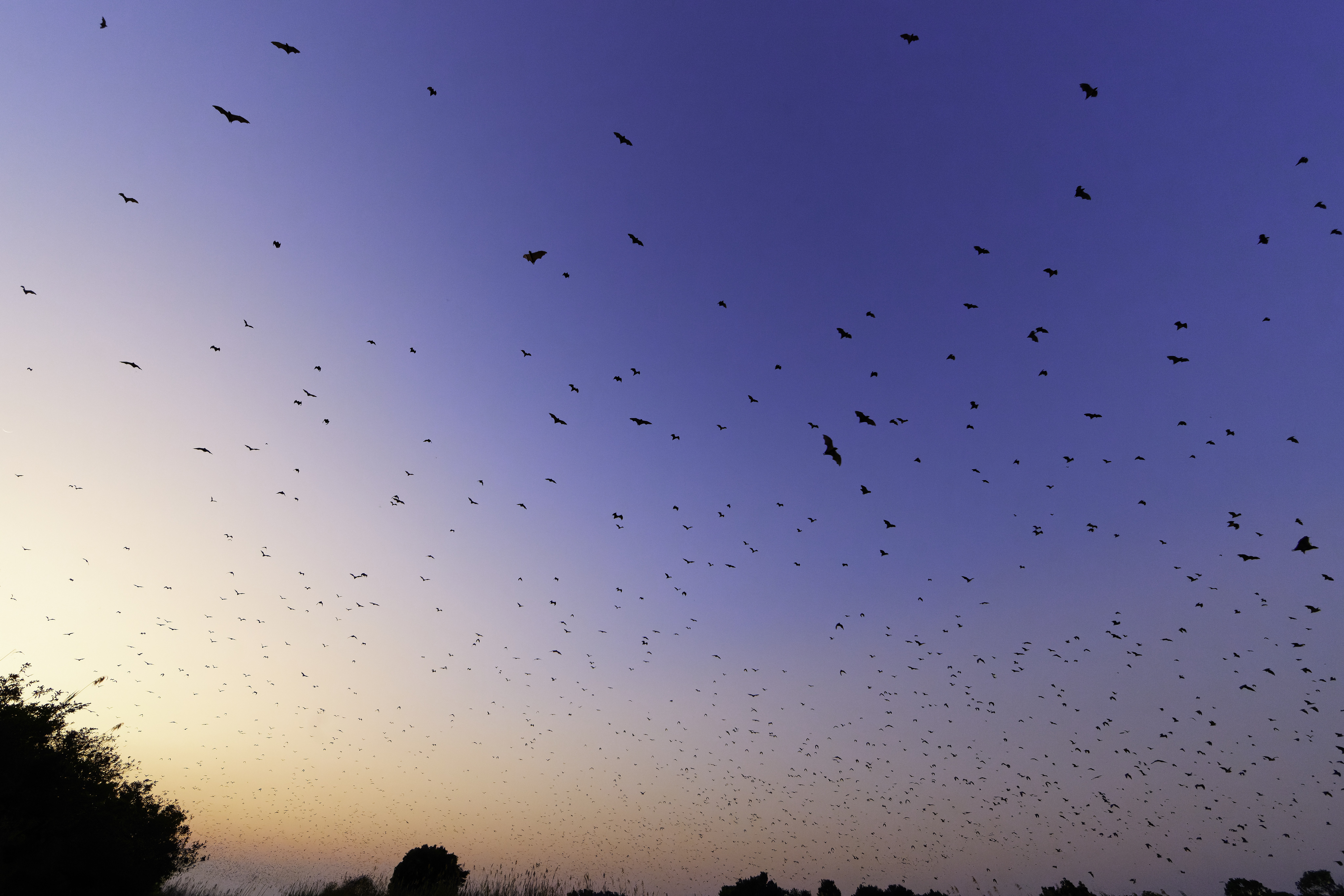 00425 APJ  59A9527 CR3D