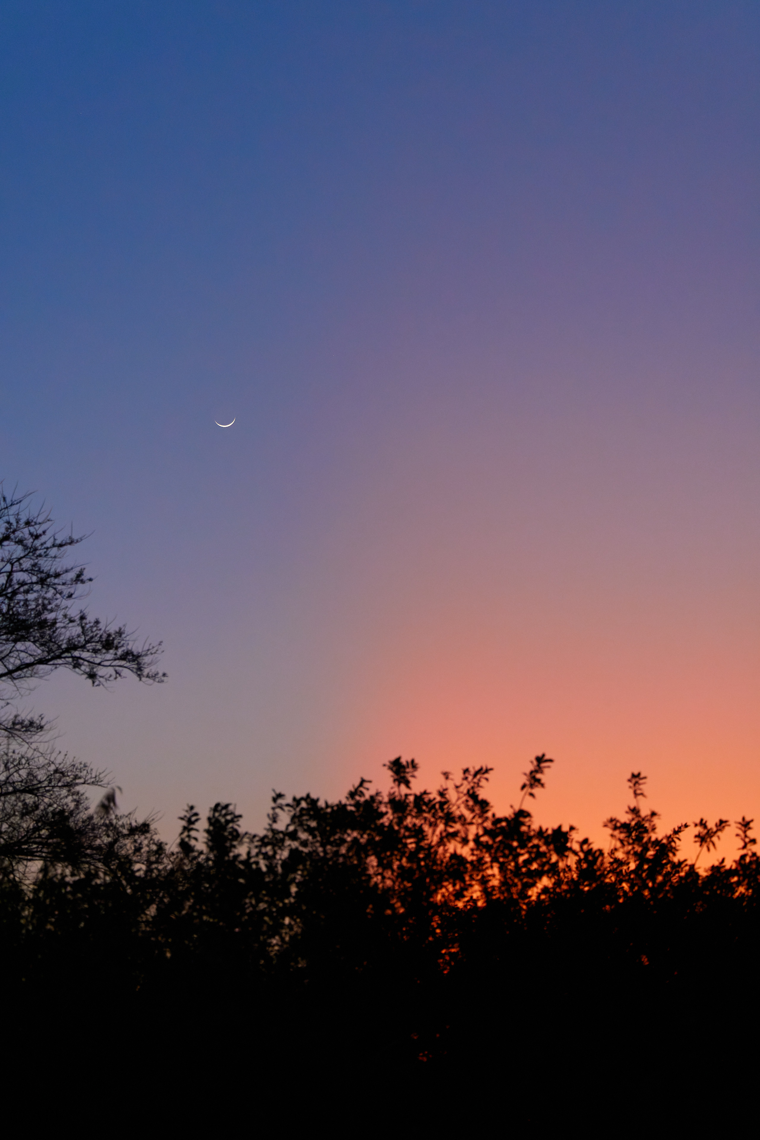 00431 APJ  59A9592 CR3D