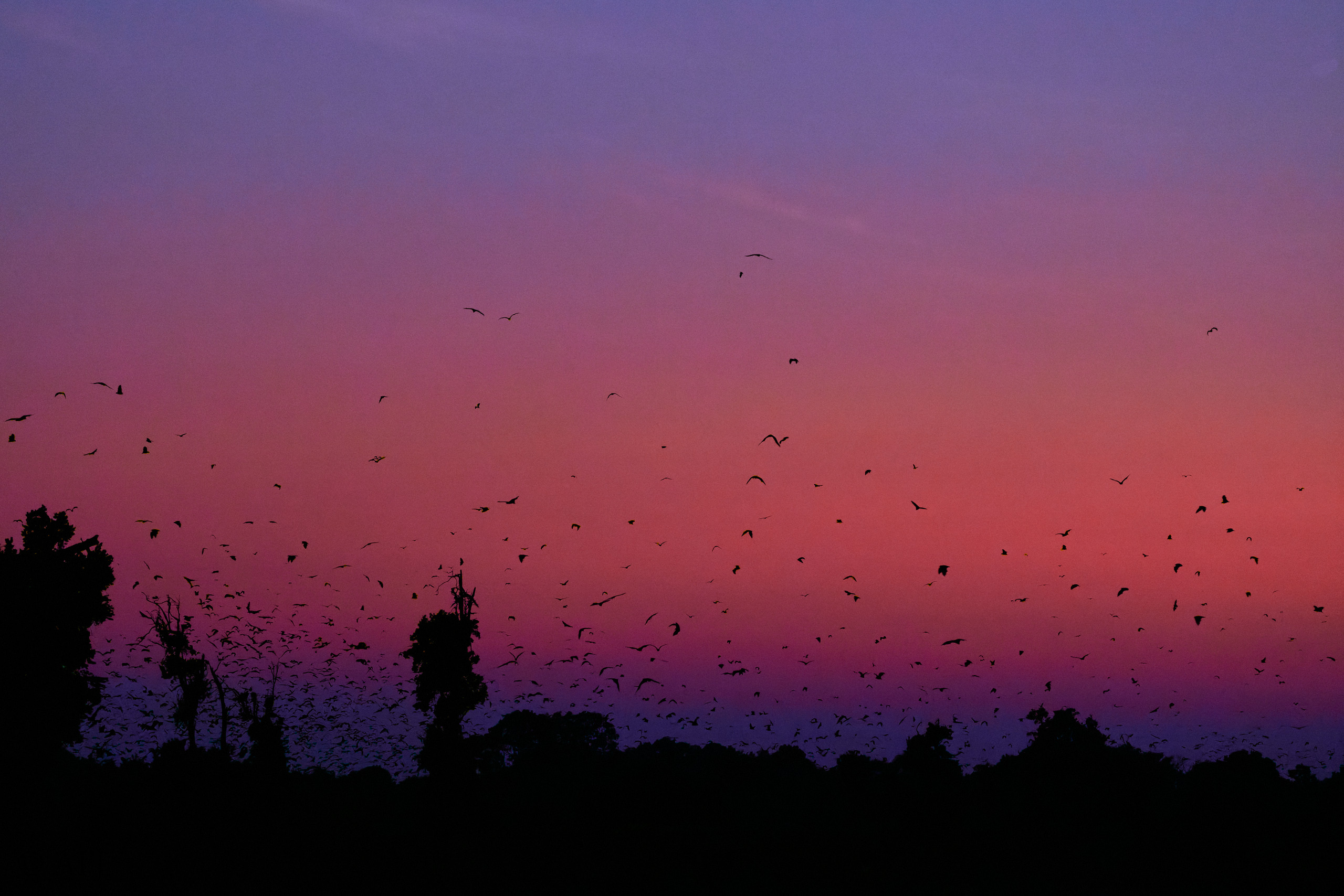 00437 APJ  A7A0503 CR3D