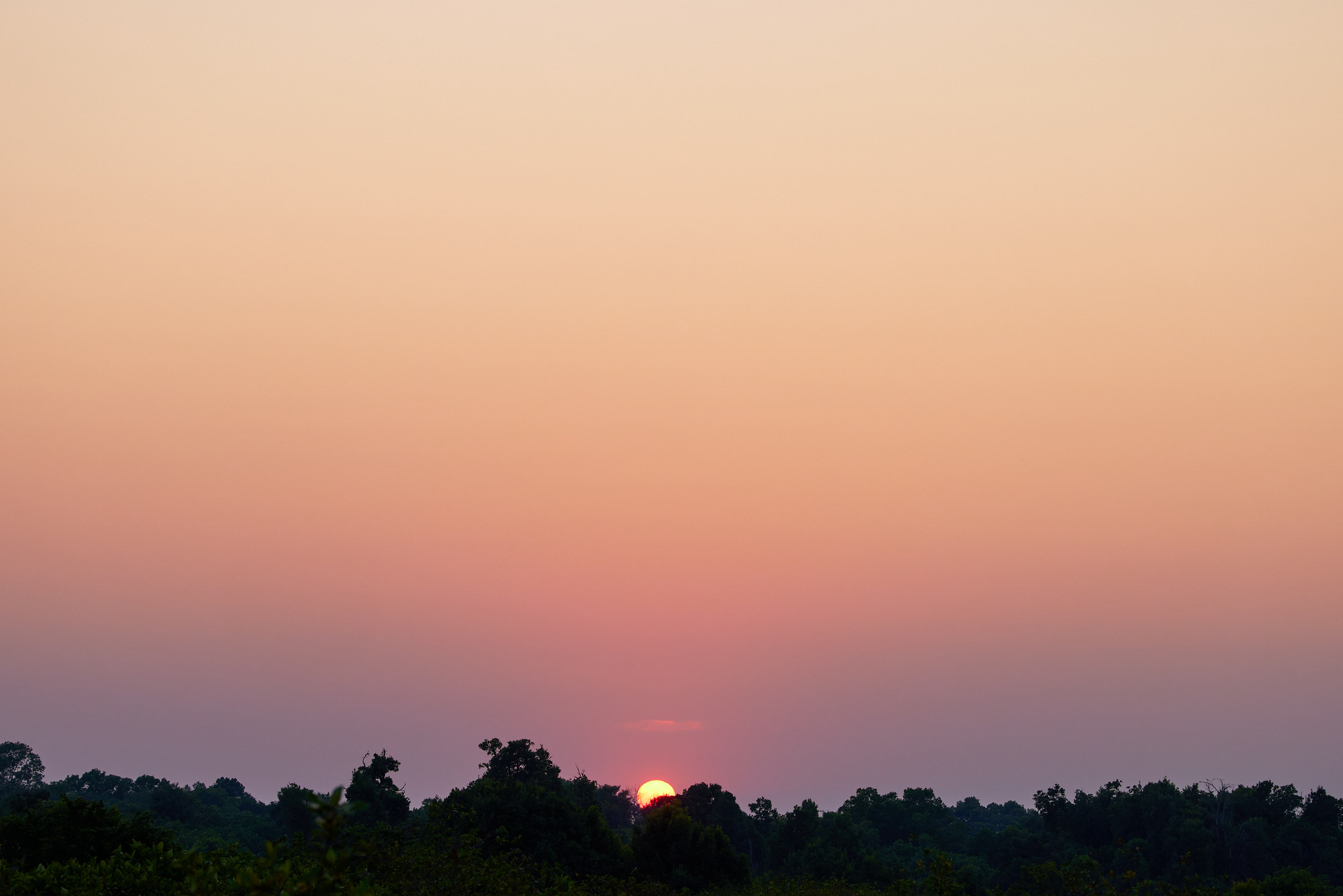 00444 APJ  A7A0641 CR3D