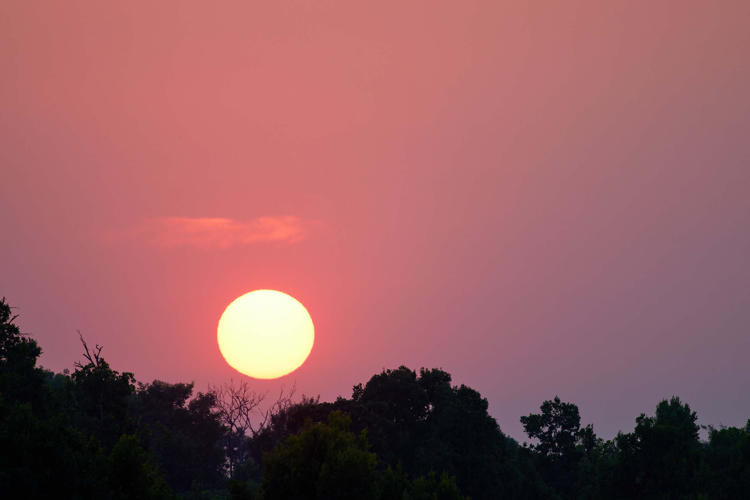 00445 APJ  A7A0647 CR3D