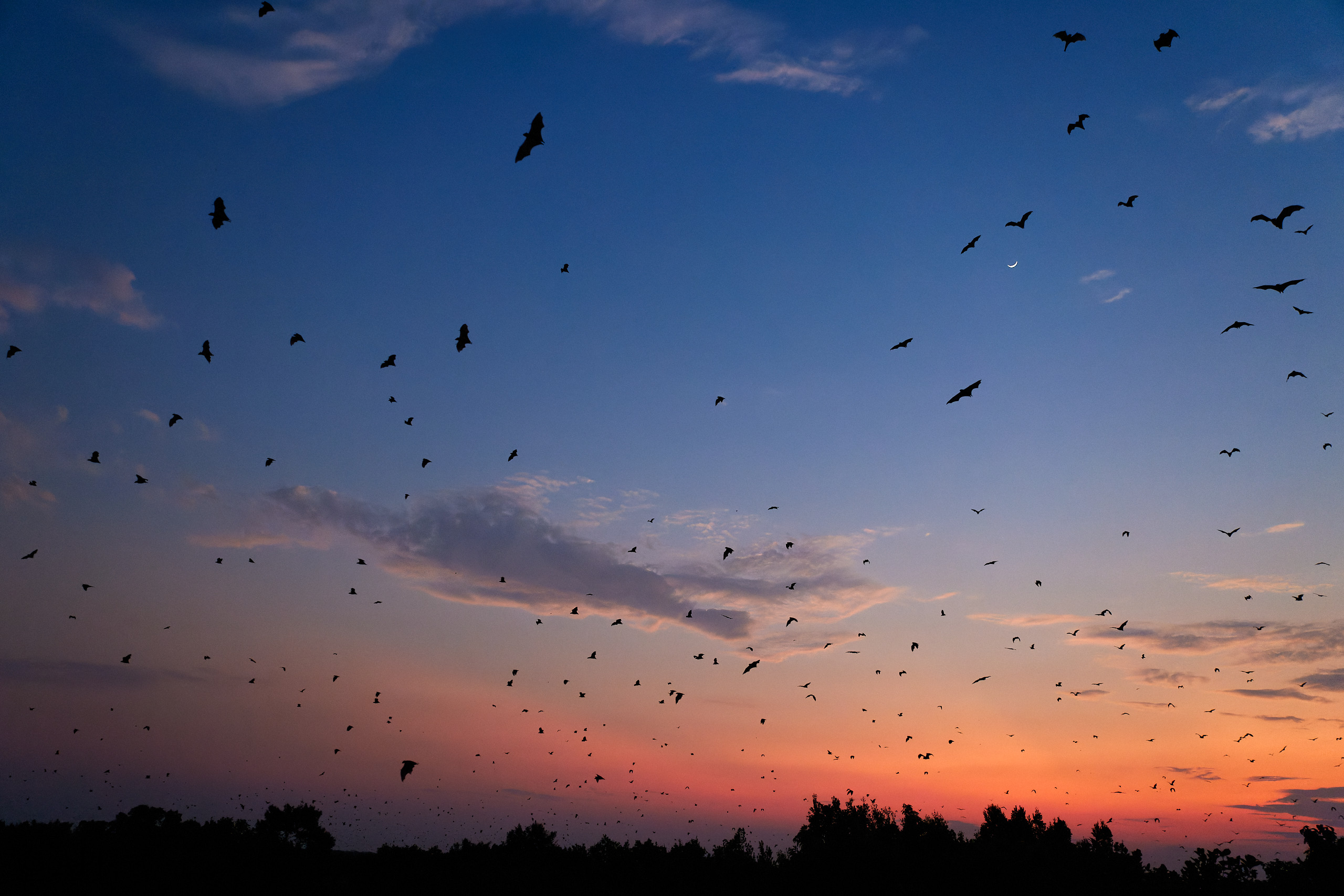 00469 APJ  59A9861 CR3D