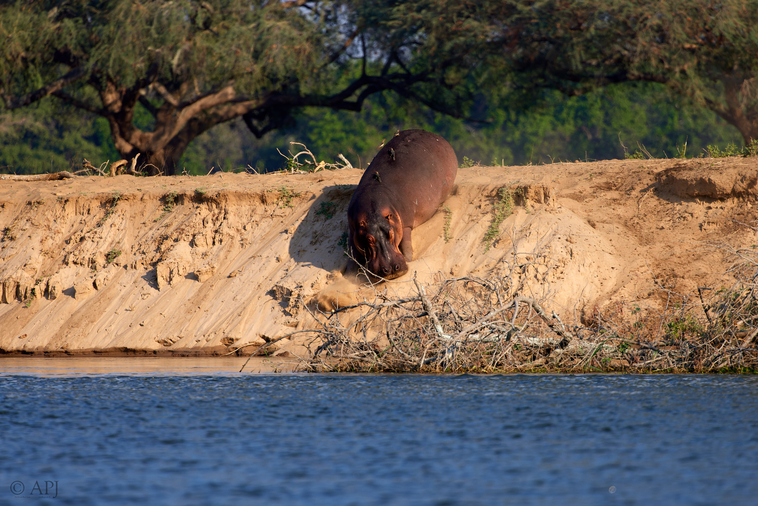 00538 APJ  A7A1904 CR3D