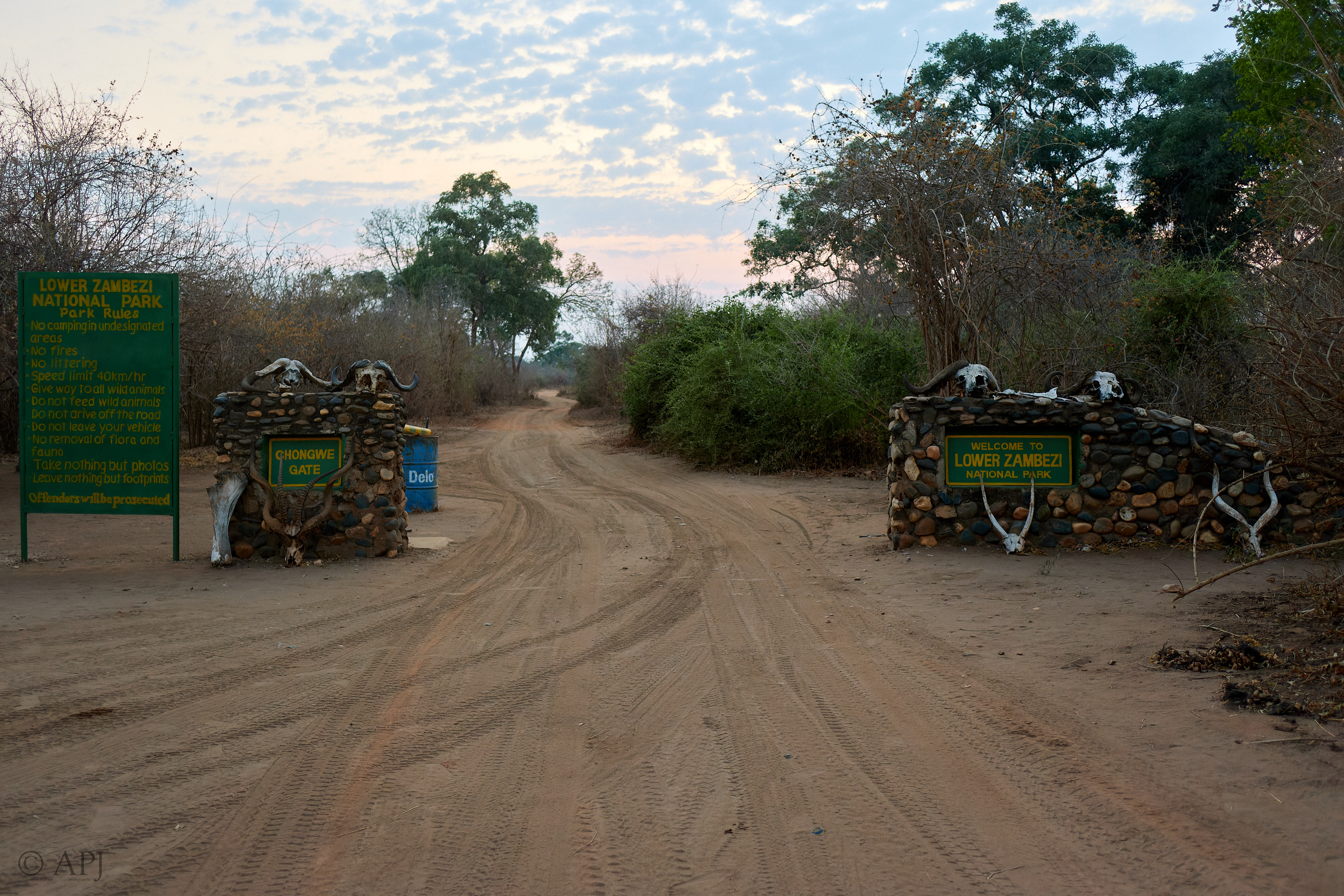 00569 APJ IMG 1540 CR3D