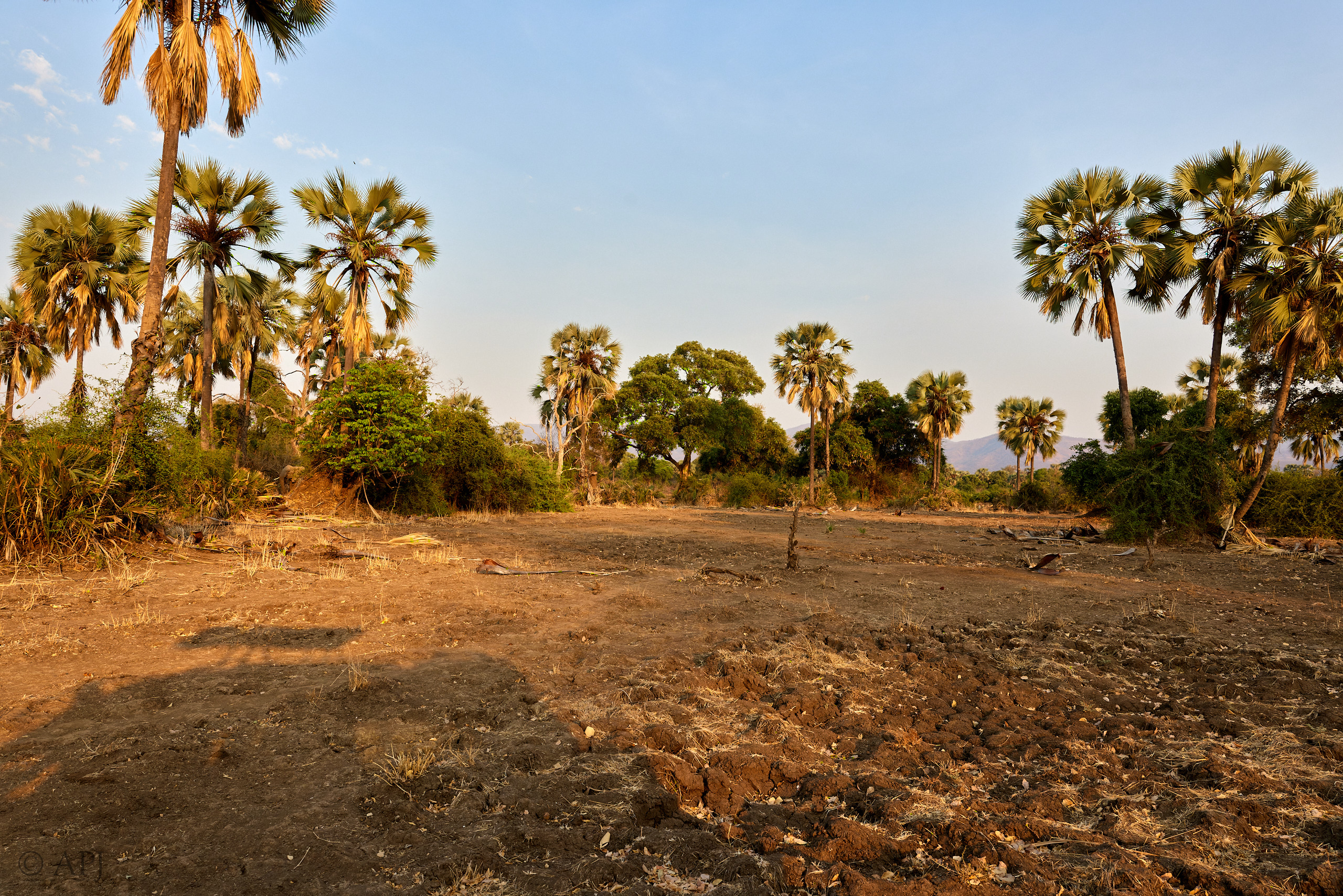 00575 APJ  59A0050 CR3D